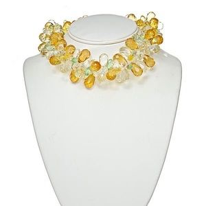 Acrylic Jewel Neckace